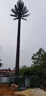 Kamuflajlı İletişim Çam Palmiye Ağacı Kulesi 0m - 80m Yükseklik