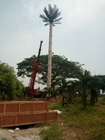 Palmiye Ağacı Çelik Monopole Kulesi Gizlenmiş Sıcak Daldırma Galvanizli